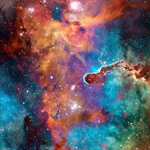 Meet your Posher, Willie